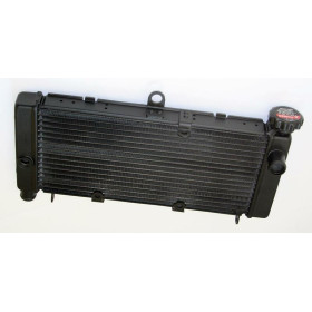 RADIATEUR D'EAU BIHR POUR HONDA