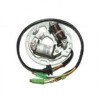 Stator ELECTROSPORT Kawasaki KDX200/220