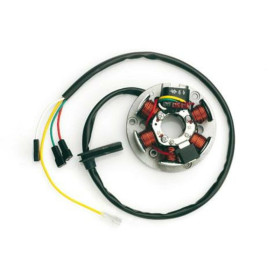 Stator TOP PERFORMANCE AM6 volant Ducati Type 311013-311028 short