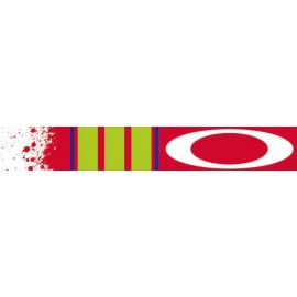 Masque OAKLEY O Frame 2.0 Pinned Race Red/Green écran transparent