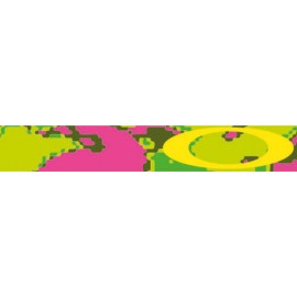 Masque OAKLEY Crowbar Thermo Camo PYG écran transparent