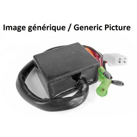 Boitier CDI TECNIUM Polaris Sportsman 335