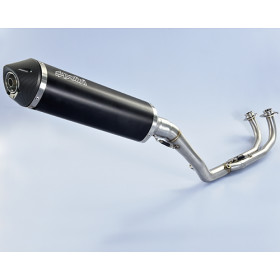 Ligne complète POLINI Maxi-Scooter inox/silencieux alu/casquette alu Yamaha T-Max 530