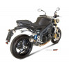 Silencieux MIVV GP carbone  Triumph Speed Triple 1050