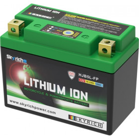 Batterie SKYRICH Lithium Ion LIB5L