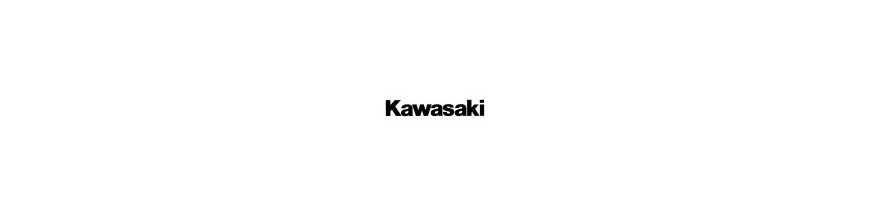 Protections carbone Kawasaki