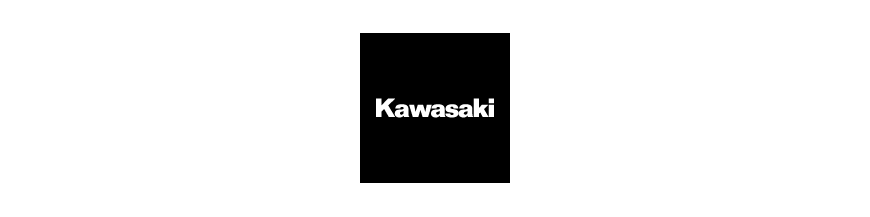 Joints Kawasaki
