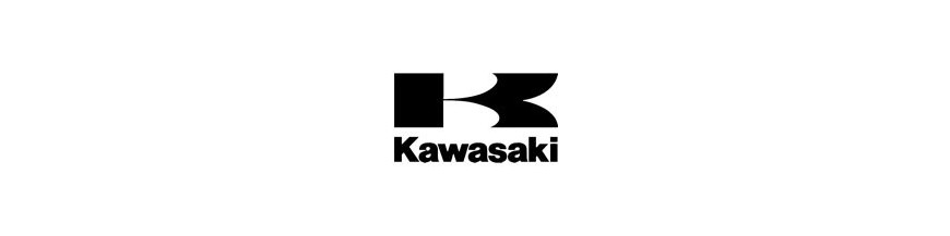 Akrapovic Kawasaki