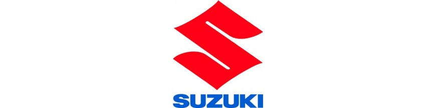 Mivv Suzuki